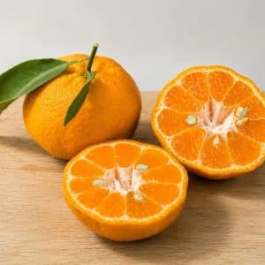 Mandarine Harumi 1